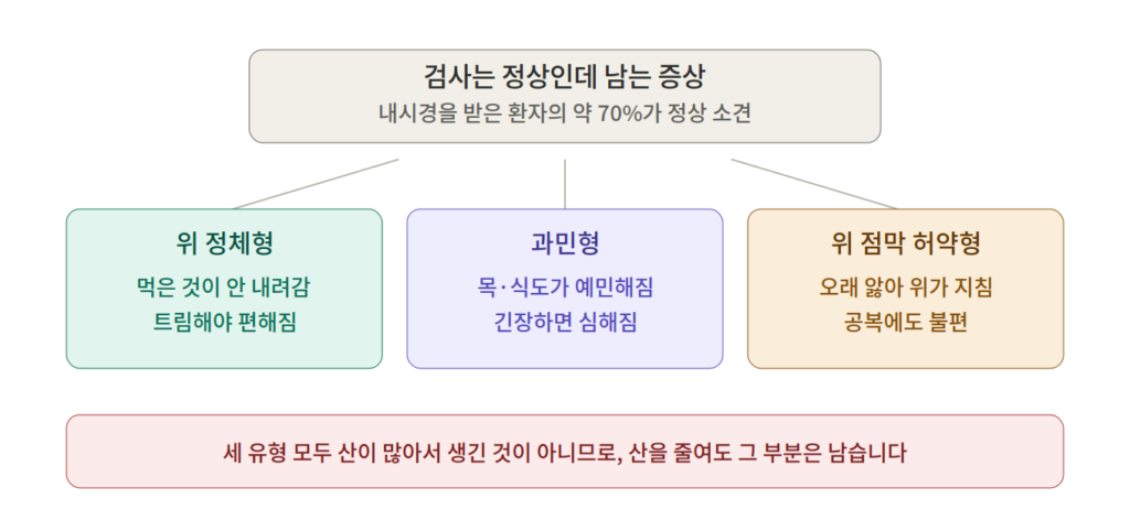 검사가 정상인 역류 증상의 세 가지 유형 — 위 정체형, 과민형, 위 점막 허약형
