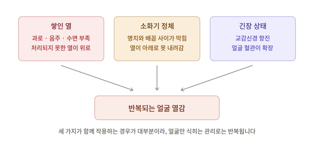 남자안면홍조-반복원인 (1)