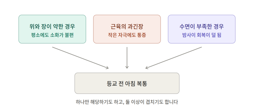 아침 복통의 신체적 원인 세 가지 — 위와 장이 약한 경우, 근육의 과긴장, 수면 부족